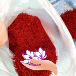 خرید زعفران عمده قائن مشهد