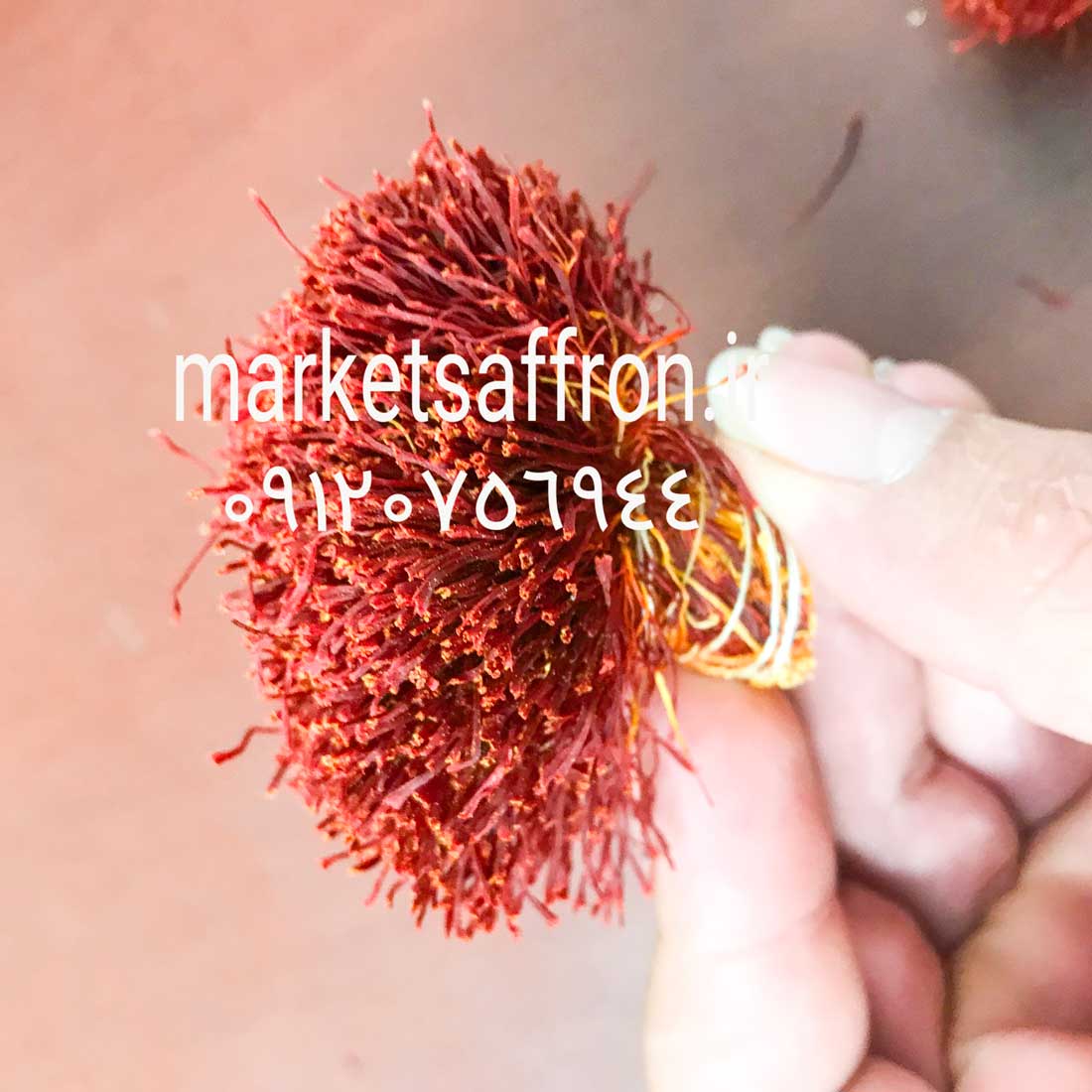 صادرات زعفران به کره جنوبی